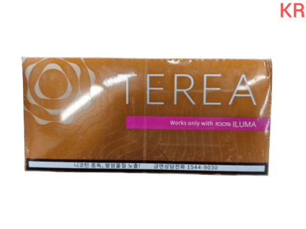Стики Terea Amber - табак с древесно-ореховыми нотками (Корея) (блок - 10 пачек)
