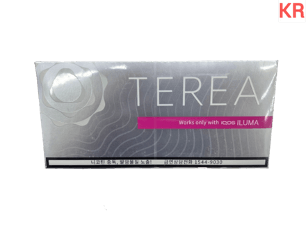 Стики Terea Silver - мягкий табак с пряно-травянистыми нотками (Корея) (блок - 10 пачек)