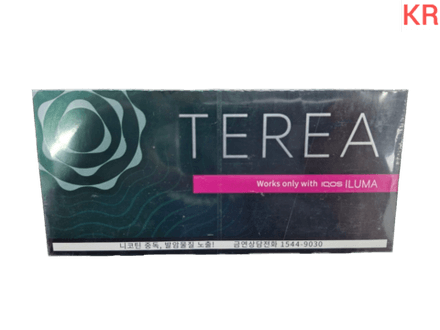 Стики Terea Black green - крепкий табак с ментолом и зелёными фруктами (Корея) (блок - 10 пачек)