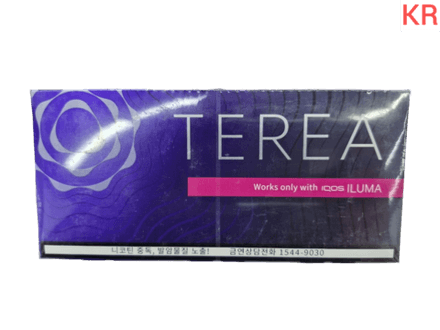 Стики Terea Black purple - крепкий табак с ягодами и ментолом (Корея) (блок - 10 пачек)