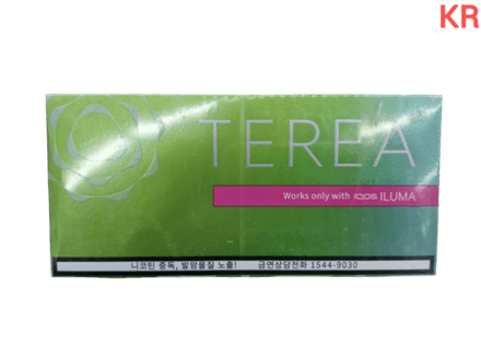 Стики Terea Zing wave (Green zing) - табак с цитрусовыми, пряными травами и ментолом (Корея) (блок - 10 пачек)