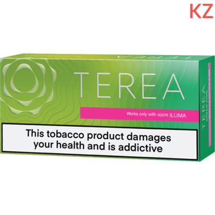 Стики Terea Zing wave (Green zing) табак-цитрусовые-пряные травы и ментол (Казахстан) (блок - 10 пачек)